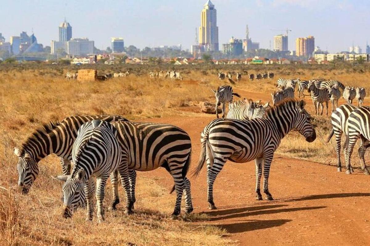 a herd of zebras grazing on a dirt road