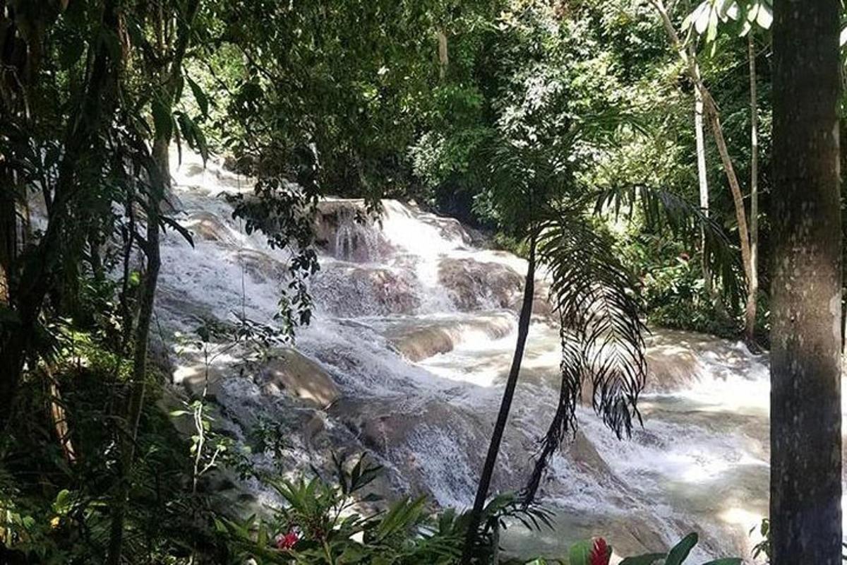 una cascata in mezzo a un fiume in una foresta