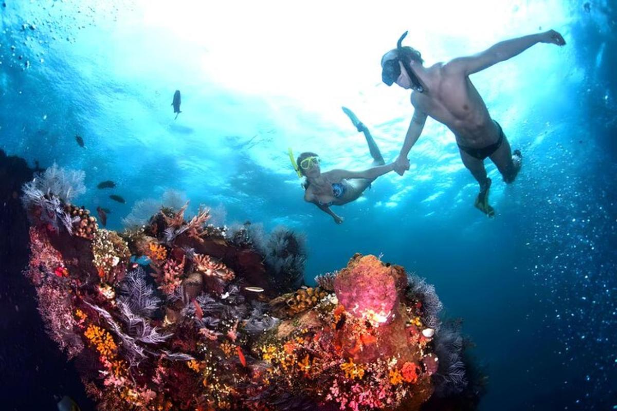 due persone che nuotano nell'acqua vicino a una barriera corallina