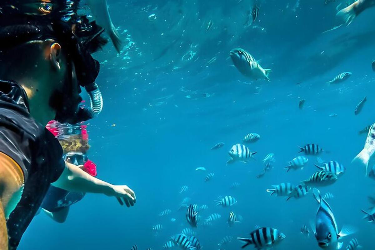una donna e un bambino guardano i pesci nell'acqua