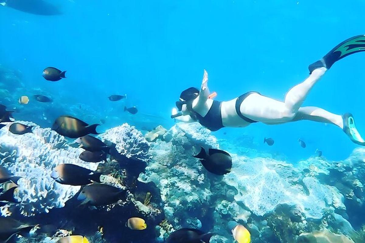 žena potápějící se v oceánu s rybami