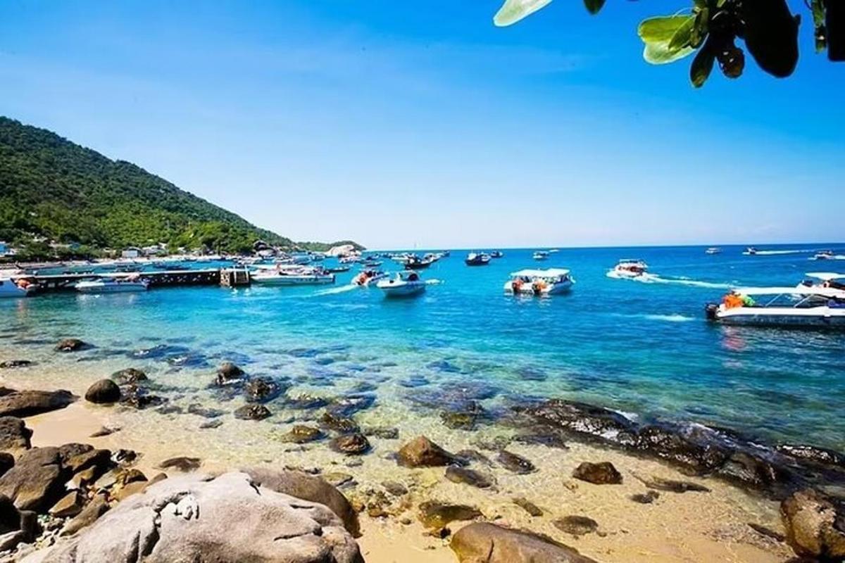 un gruppo di barche in acqua su una spiaggia