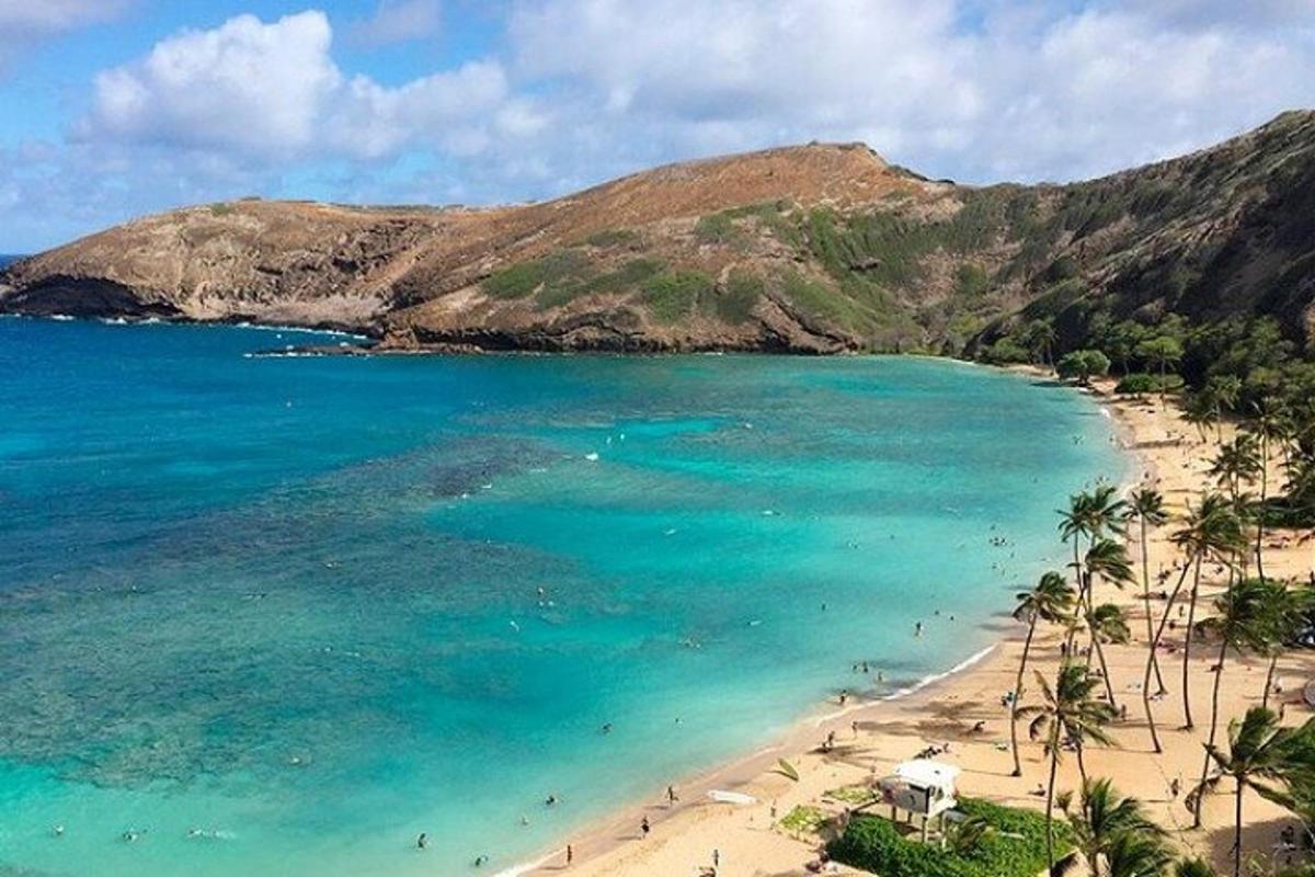 una playa con palmeras y agua azul