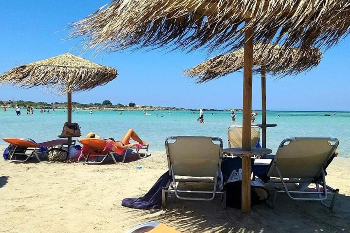 a group of chairs and umbrellas on a beach
