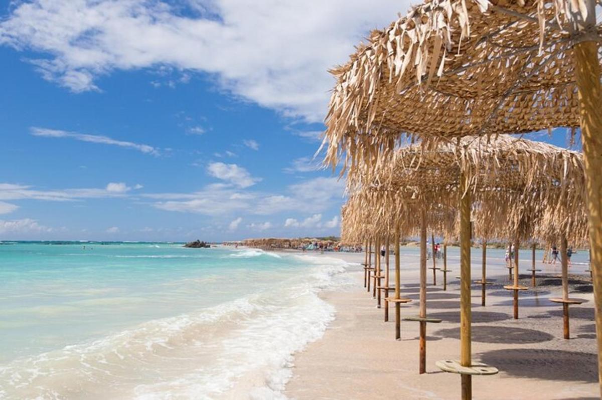 a beach with a bunch of straw umbrellas and the ocean