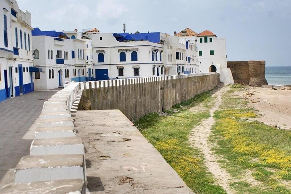 海边的一排白色建筑