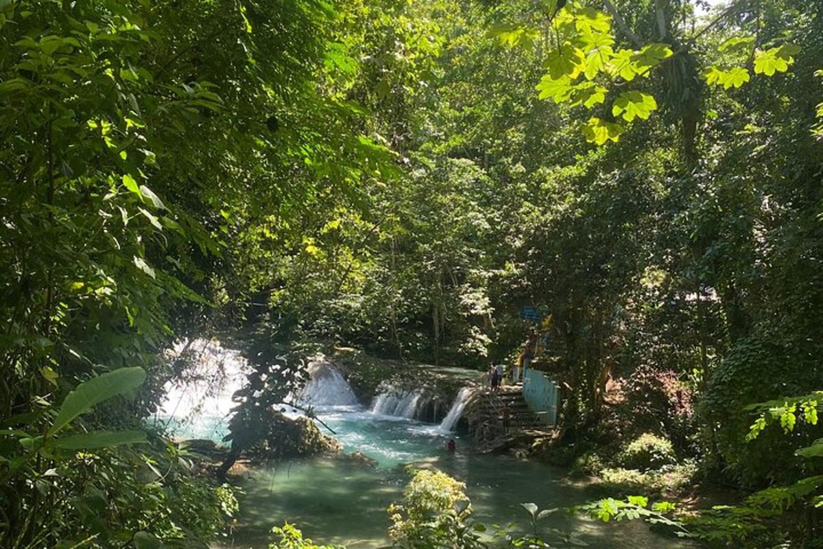 una cascata in mezzo a un fiume con alberi