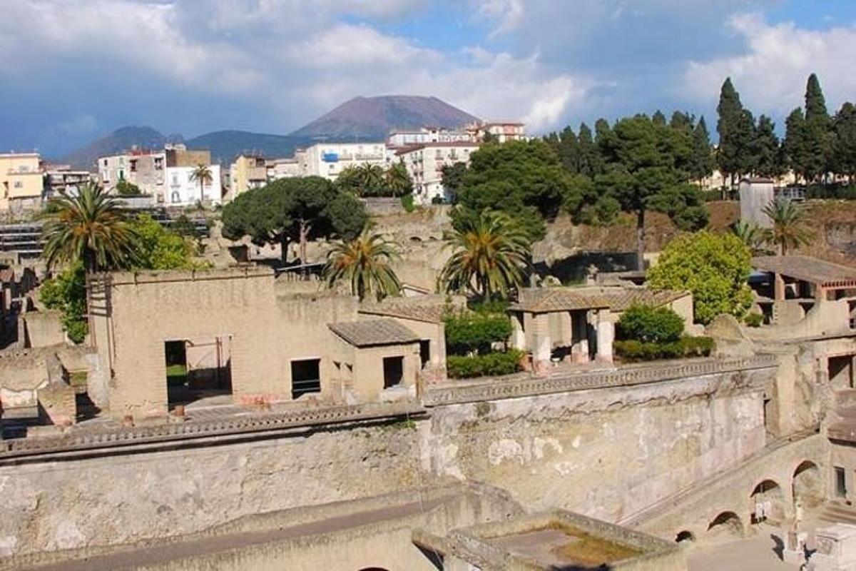 una vista di una città con edifici e alberi