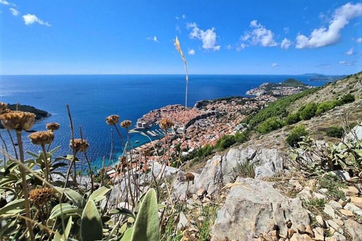 a view of the ocean from a hill with flowers