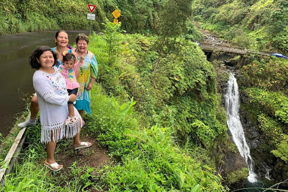 Un grupo de personas de pie junto a una cascada.