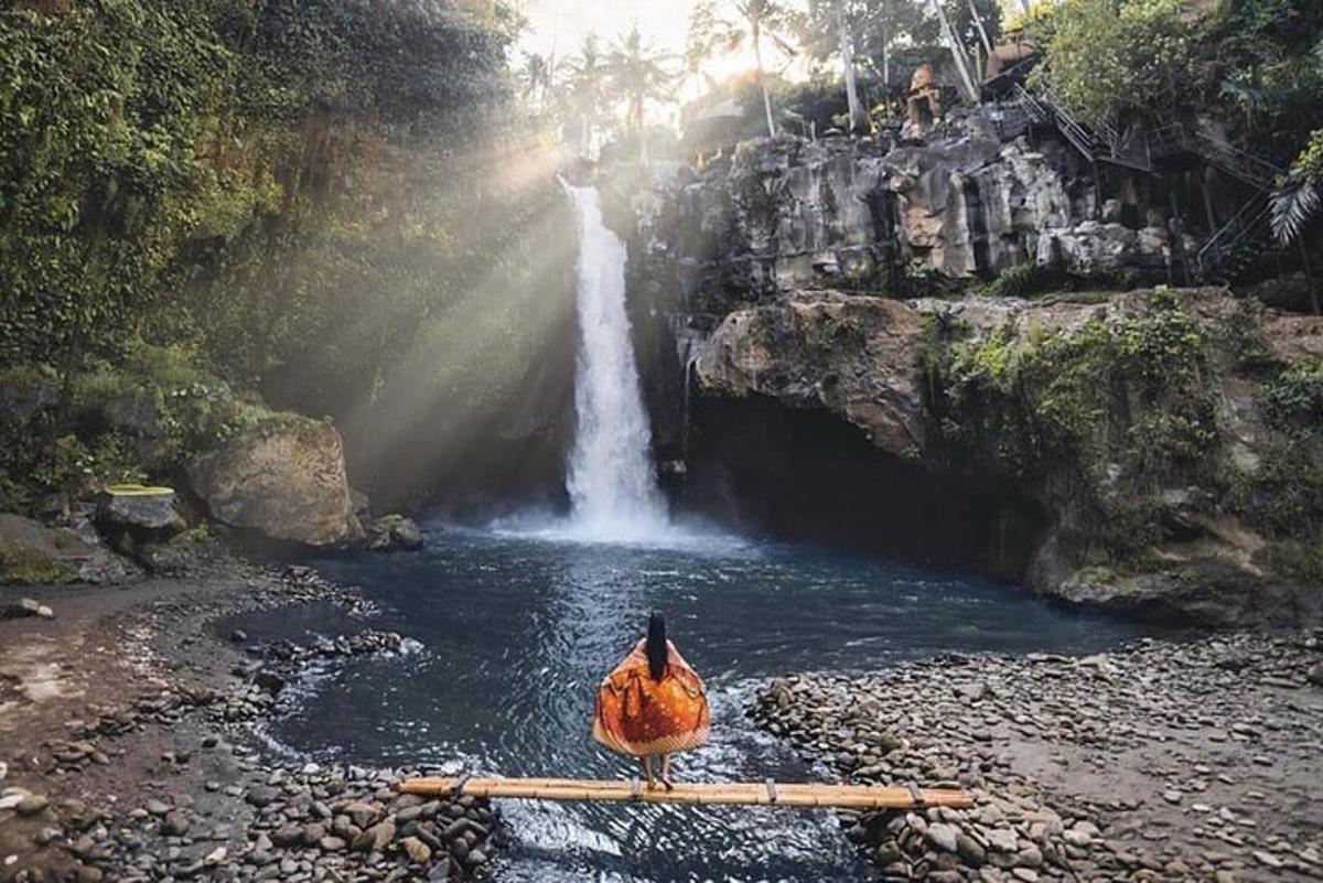 a duck standing in front of a waterfall