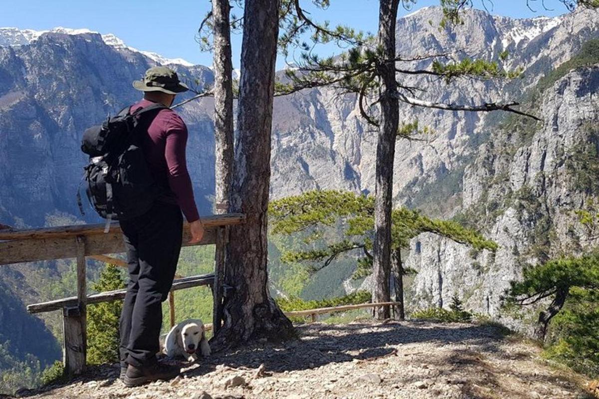 um homem com uma mochila e um cachorro em pé em uma montanha