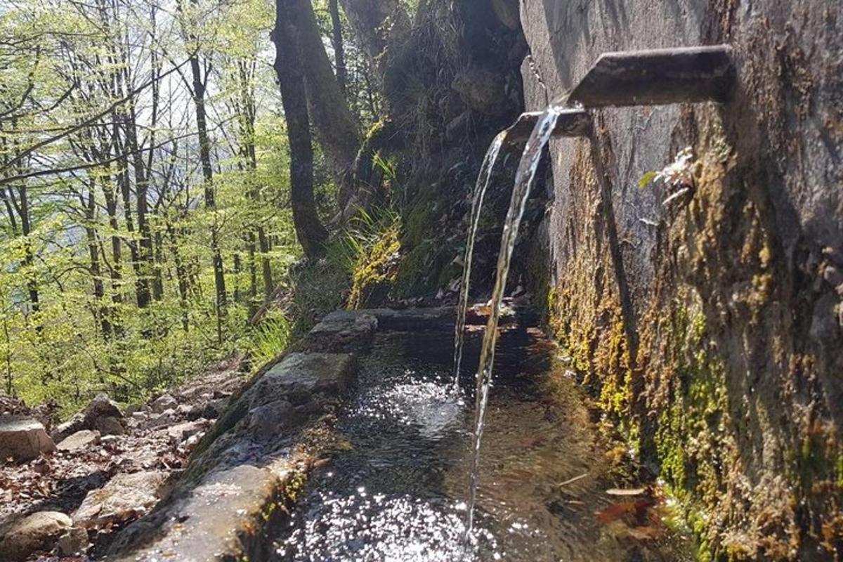 um fluxo de água saindo de um cano