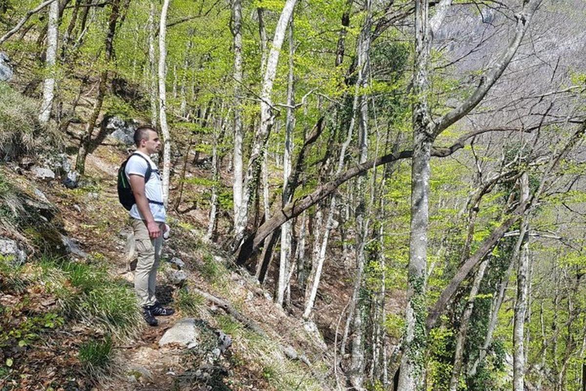 um homem com uma mochila em pé em uma trilha na floresta