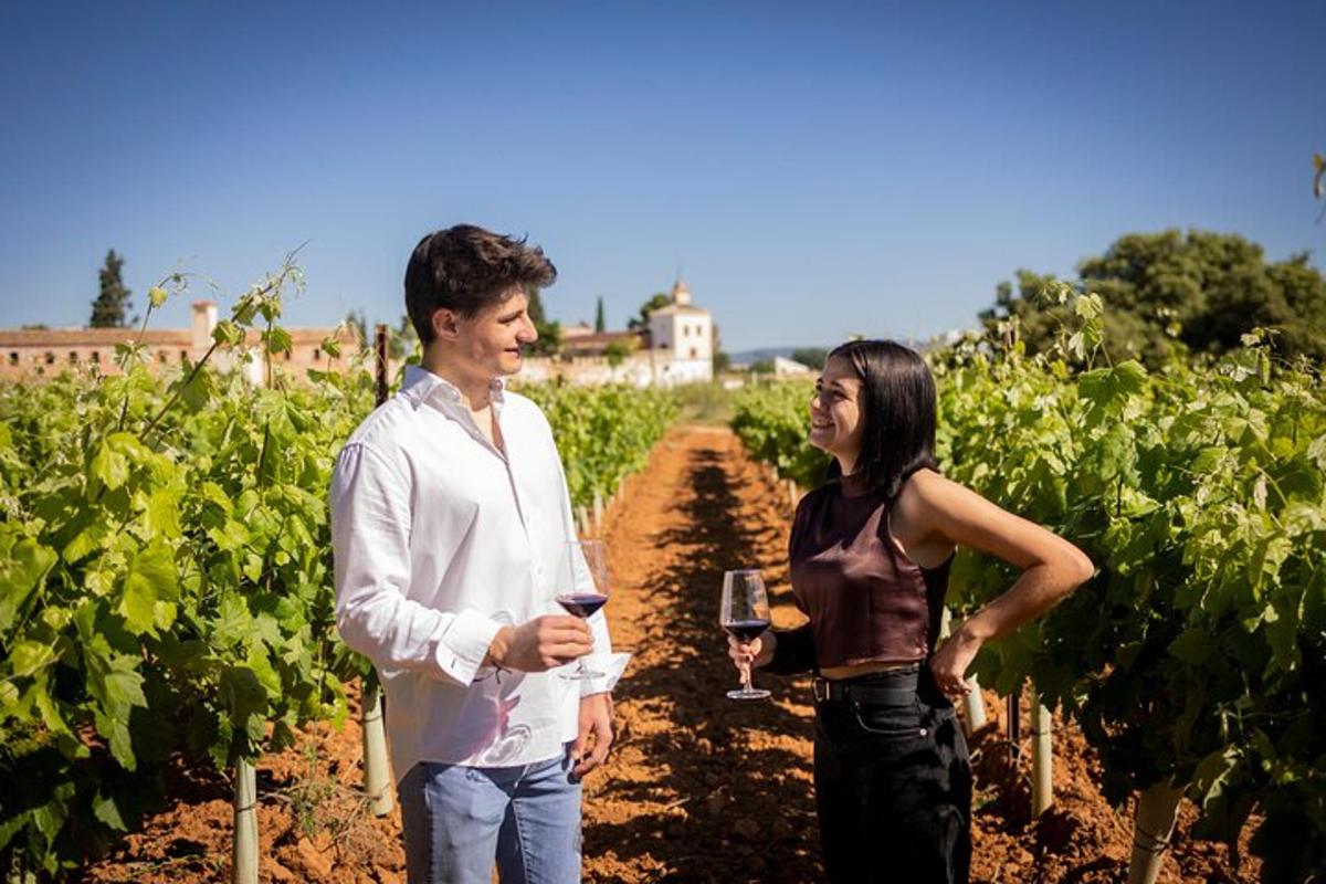 un home i una dona drets en una vinya amb copes de vi