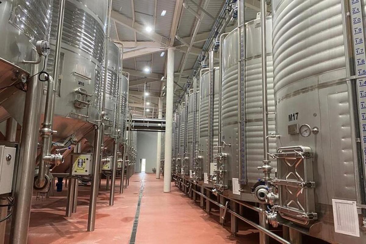 una cerveseria amb una filera de tancs platejats