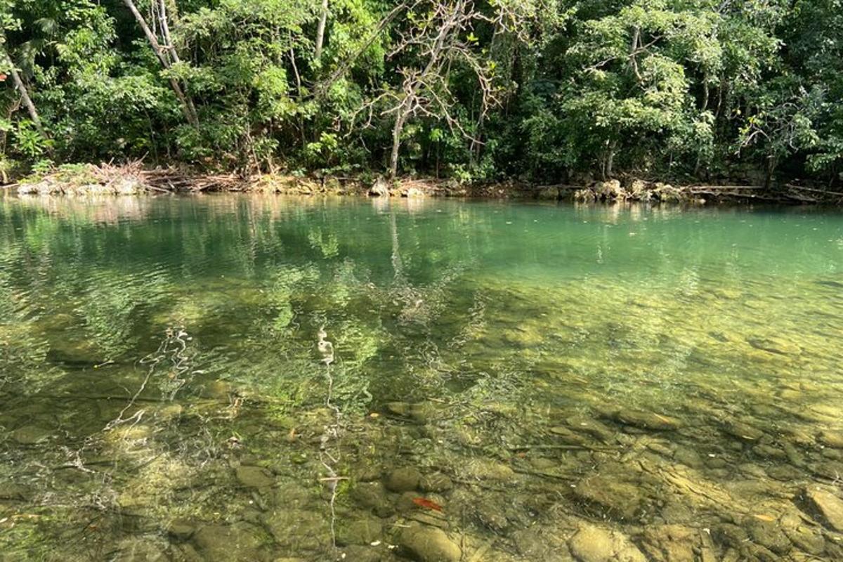 背景に木々がある水域