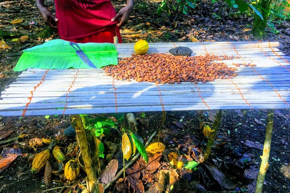sebuah meja dengan sejambak makanan di atasnya