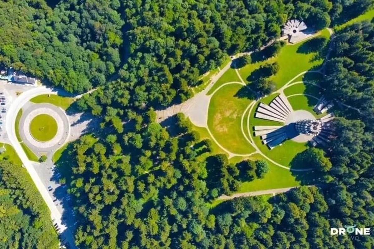 an aerial view of a park with a windmill
