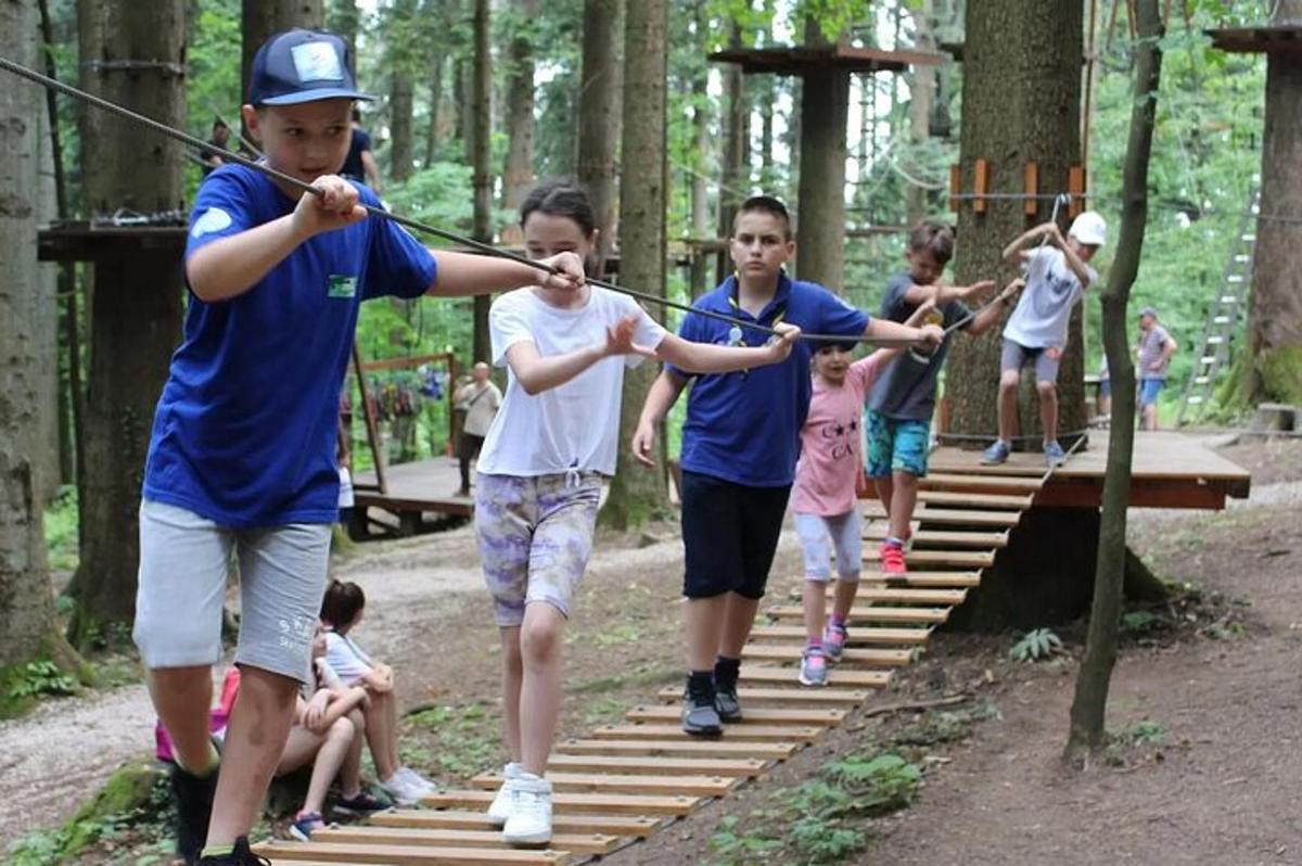 a group of children walking across a bridge in the woods