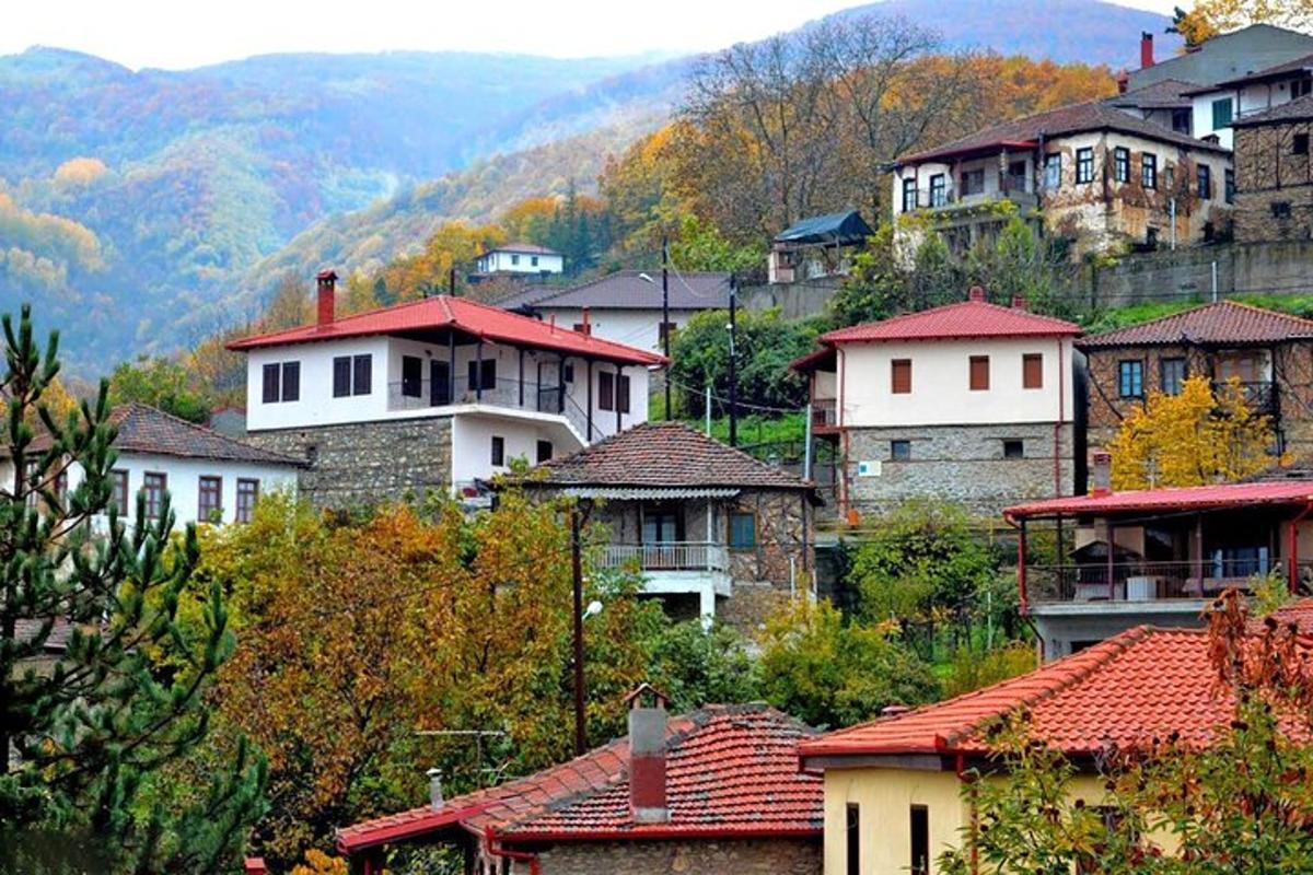skupina kuća s planinama u pozadini