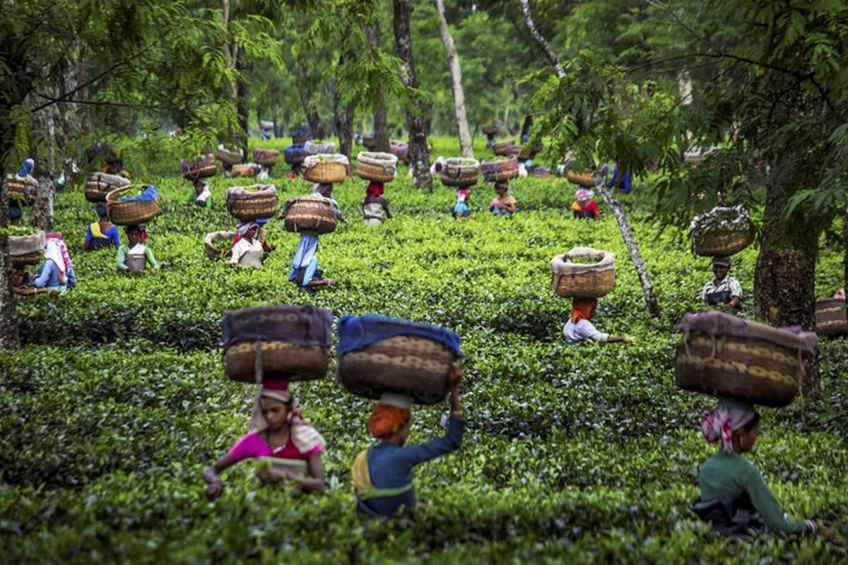 a group of toy people in a field with baskets