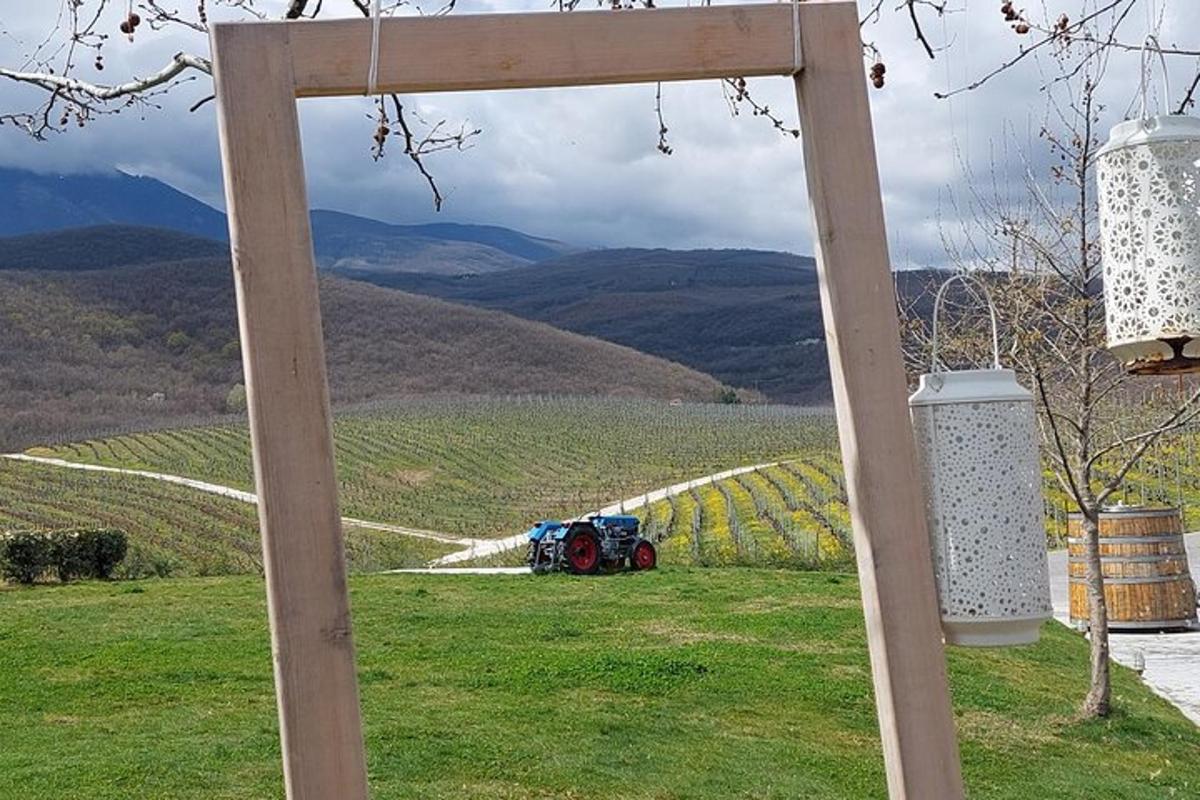 trébogi með útsýni yfir víngarð