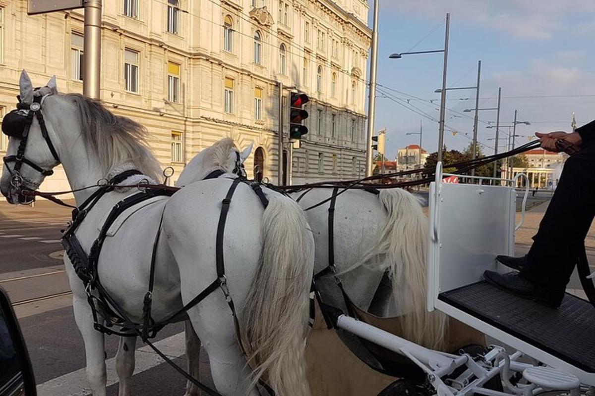 ein weißes Pferd, das eine Kutsche auf einer Stadtstraße zieht