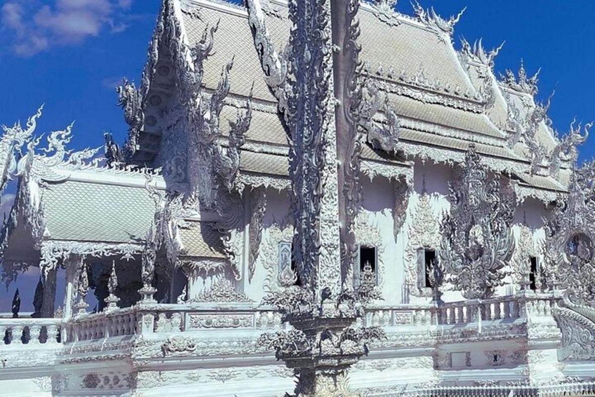 un edifici blanc amb un arbre al davant