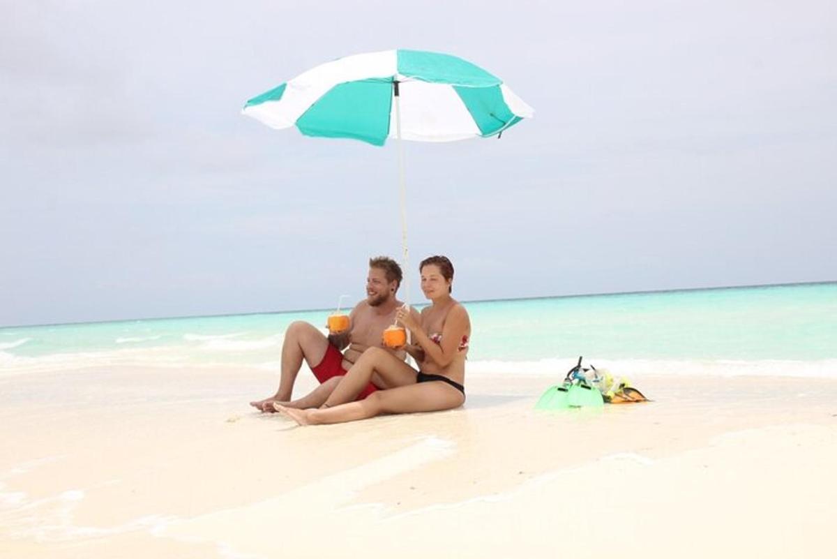 due persone sedute sotto un ombrellone in spiaggia