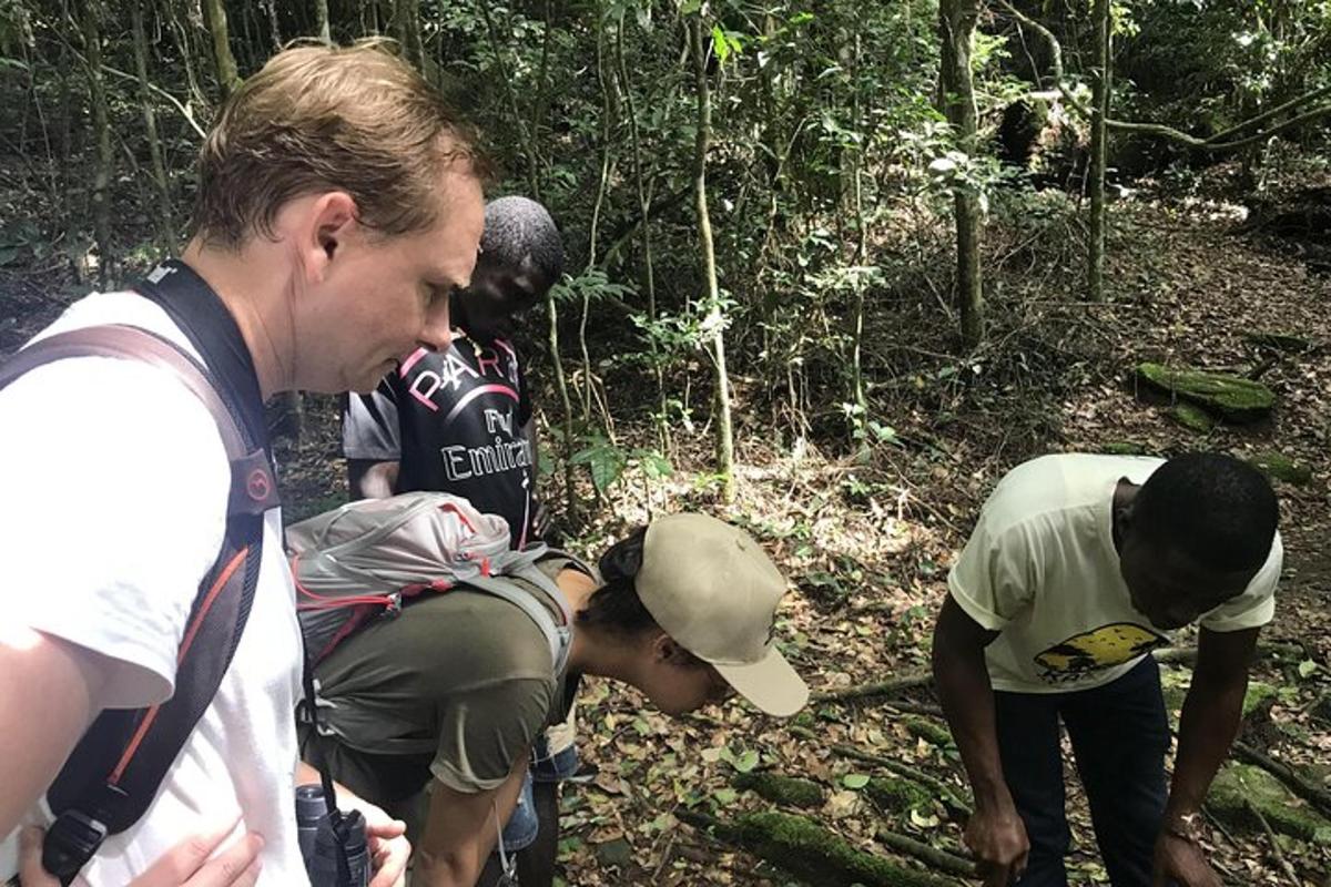 un grup de persones dempeus al bosc
