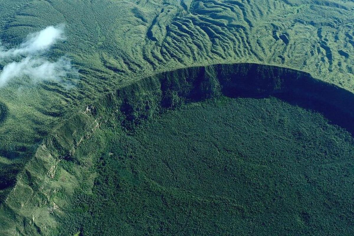 o vedere aeriană a unui câmp verde cu copaci