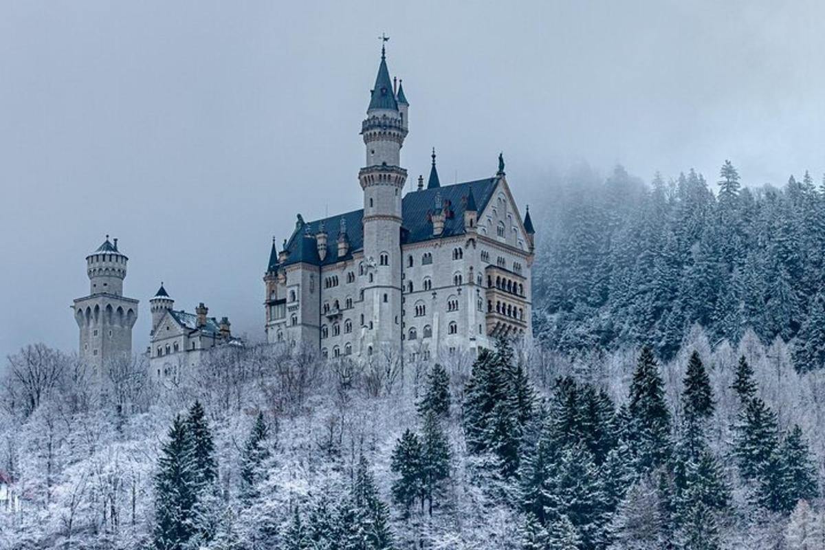 a castle on top of a hill with snow covered trees