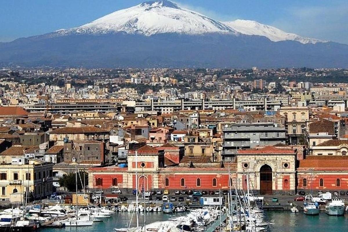 a view of a city with a snow covered mountain