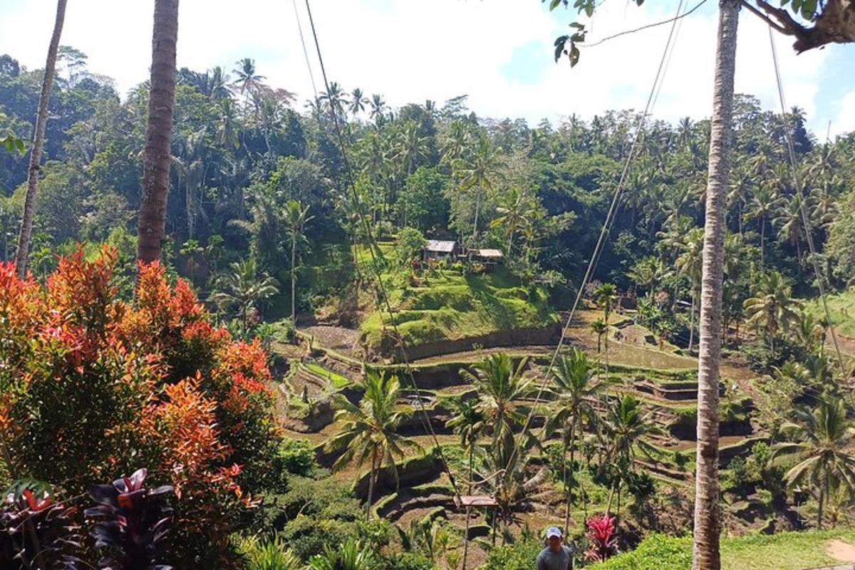 seorang lelaki berzip di dalam hutan