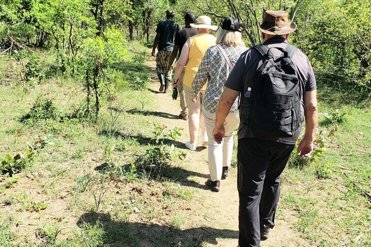 a group of people walking down a trail