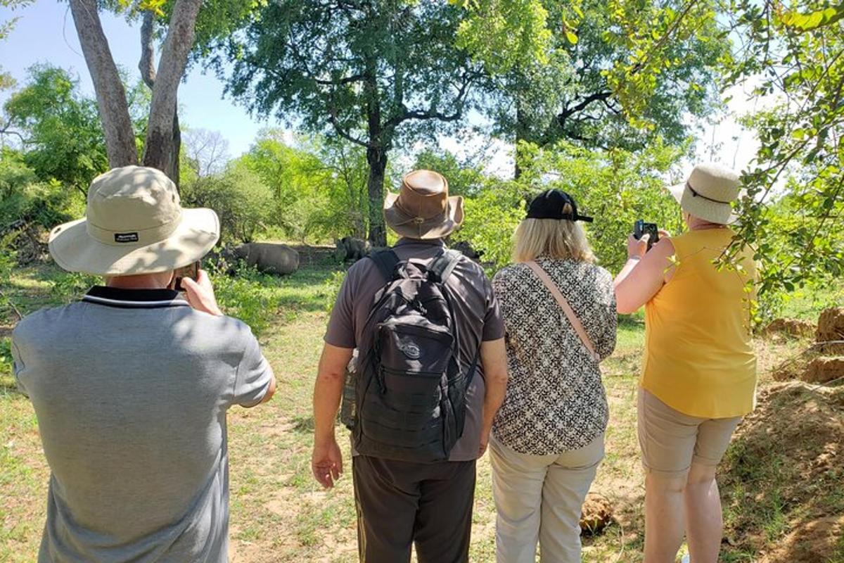 a group of people taking pictures of a giraffe