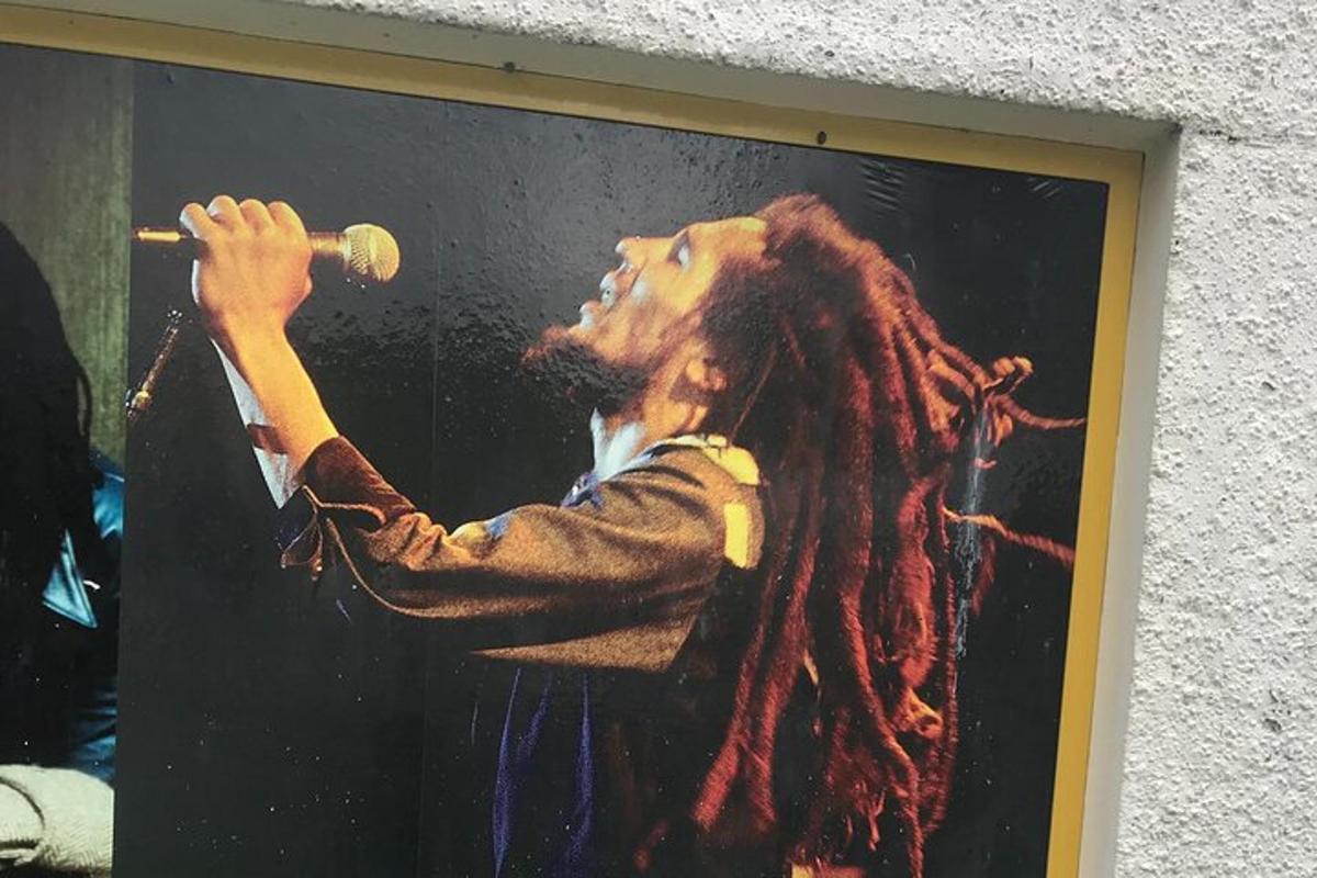egy kép egy rasztahajú férfiról, aki mikrofonba énekel
