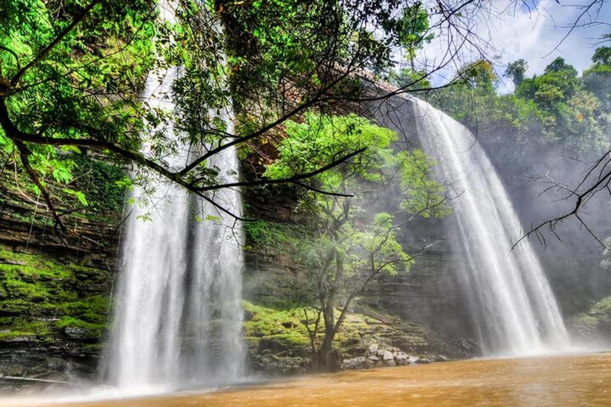 una cascata in mezzo a una foresta