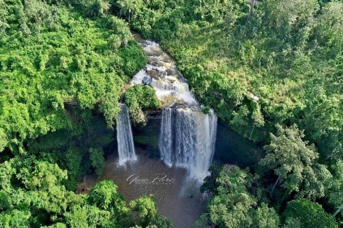 una vista aerea di una cascata in una foresta