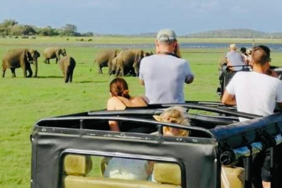 en gruppe mennesker i en jeep som ser på elefanter