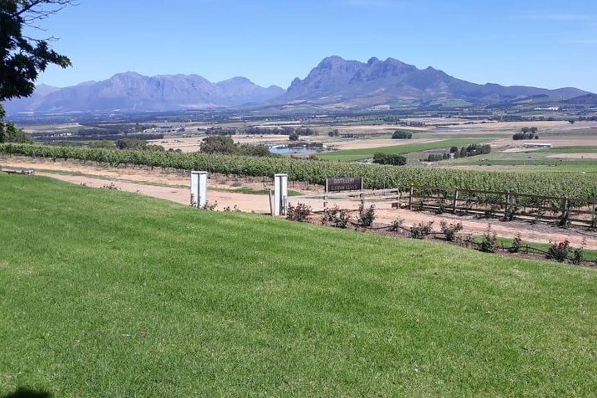 a field of grass with mountains in the background