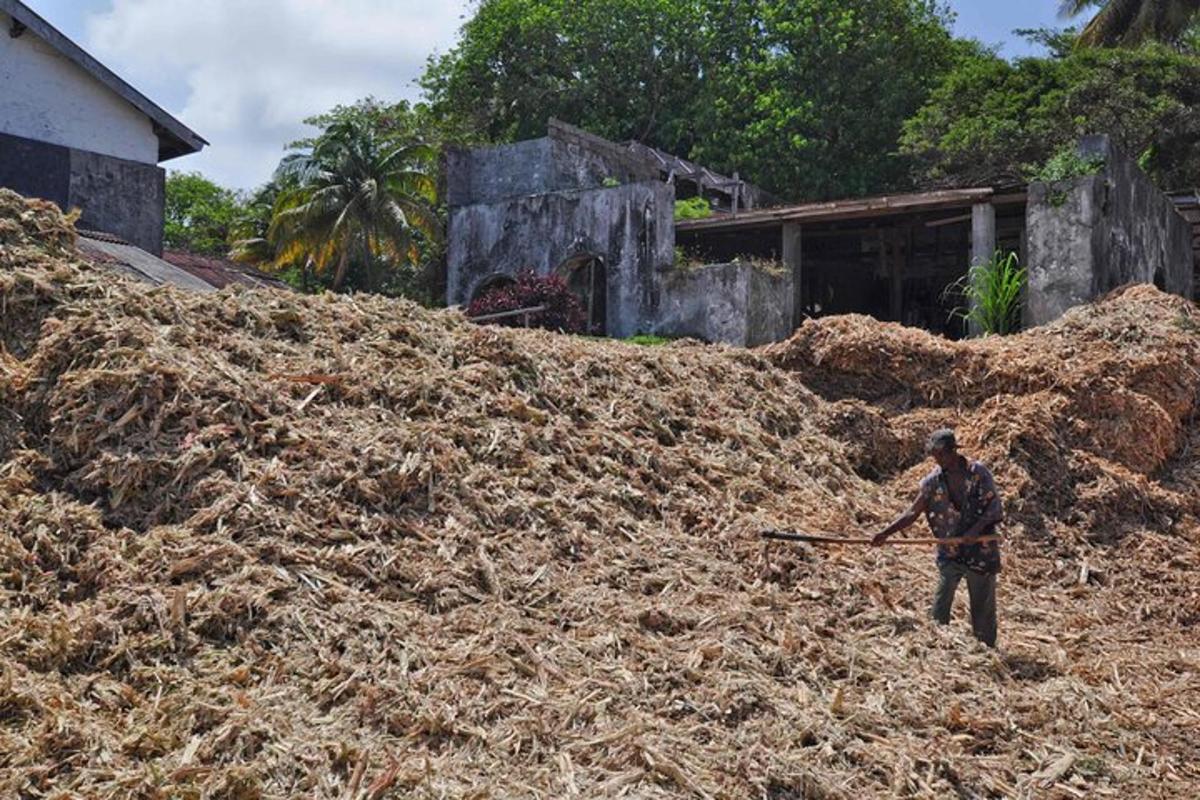 a man standing in a pile of hay with a spear