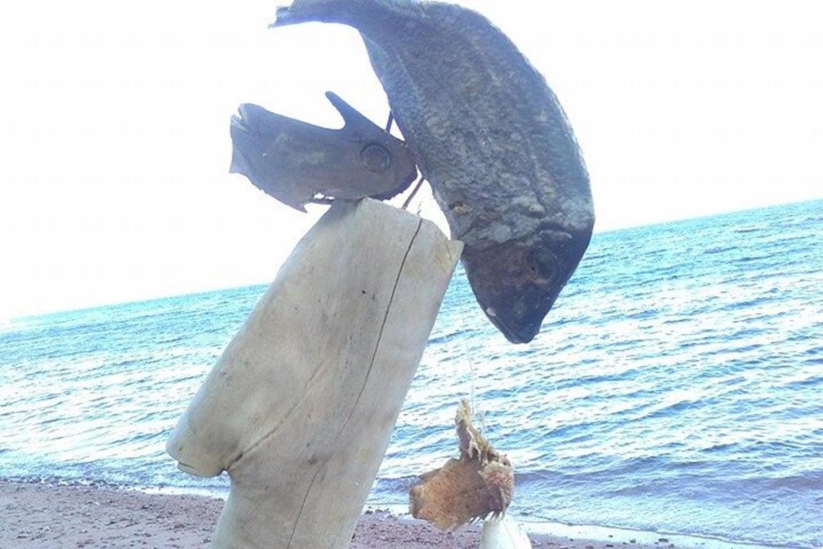 posąg ryby na plaży