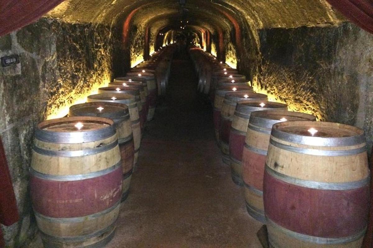 una fila di botti di vino in un tunnel