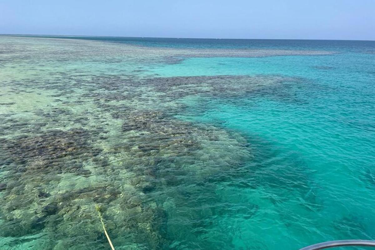 海のサンゴ礁の画像