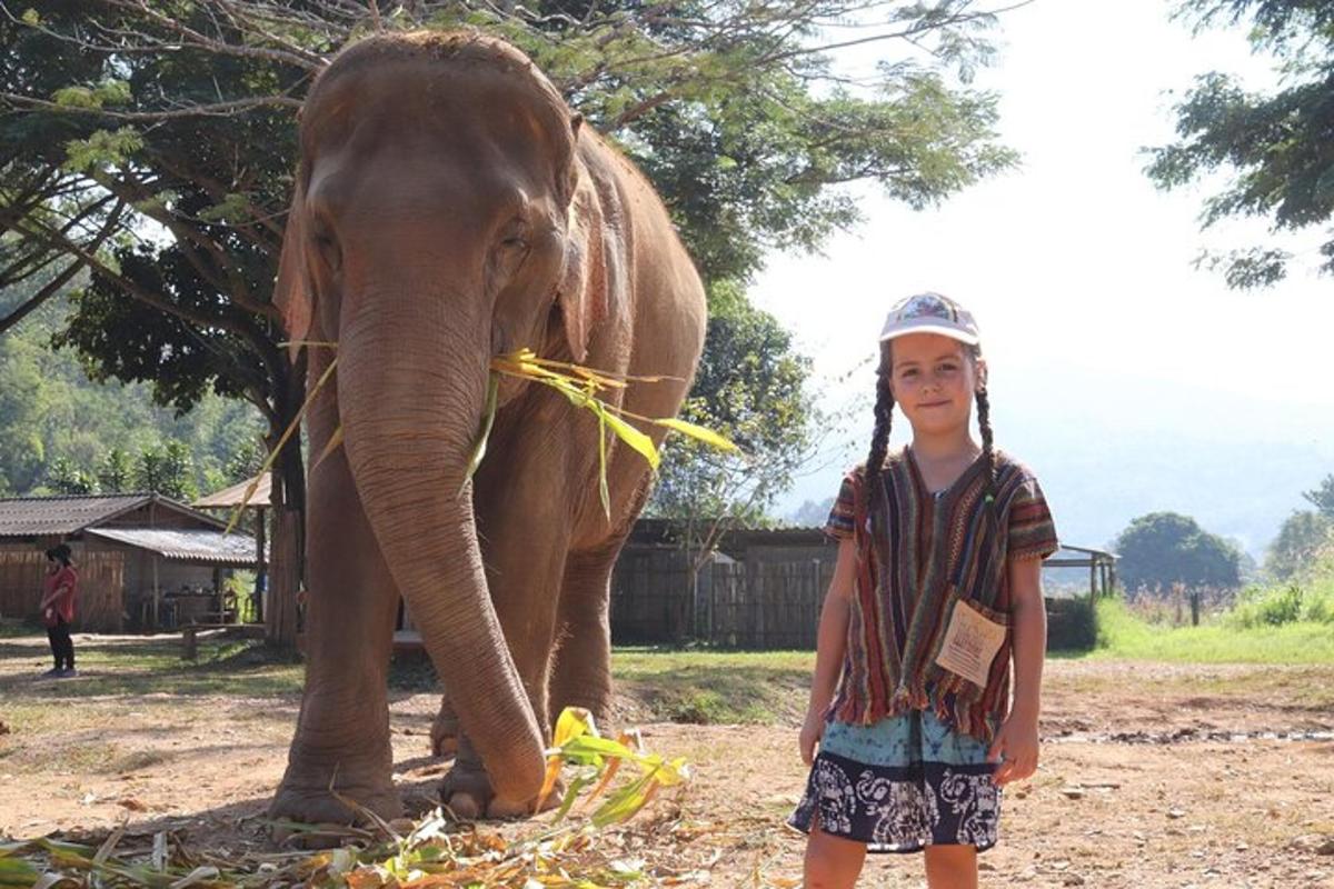 un băiat tânăr care stă în fața unui elefant