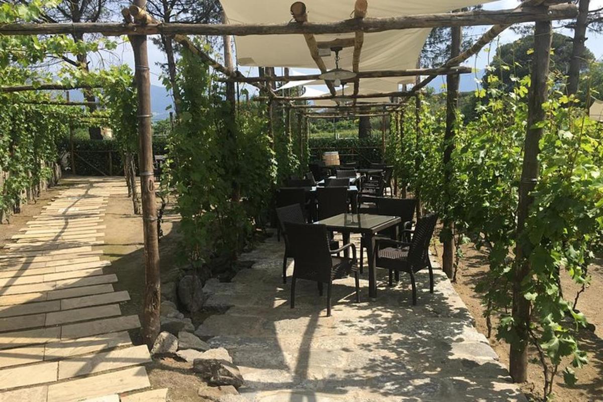 un restaurant amb taula i cadires sota una pèrgola