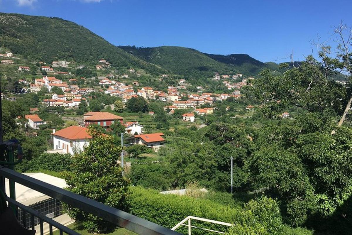 pohled na město na kopci s domy