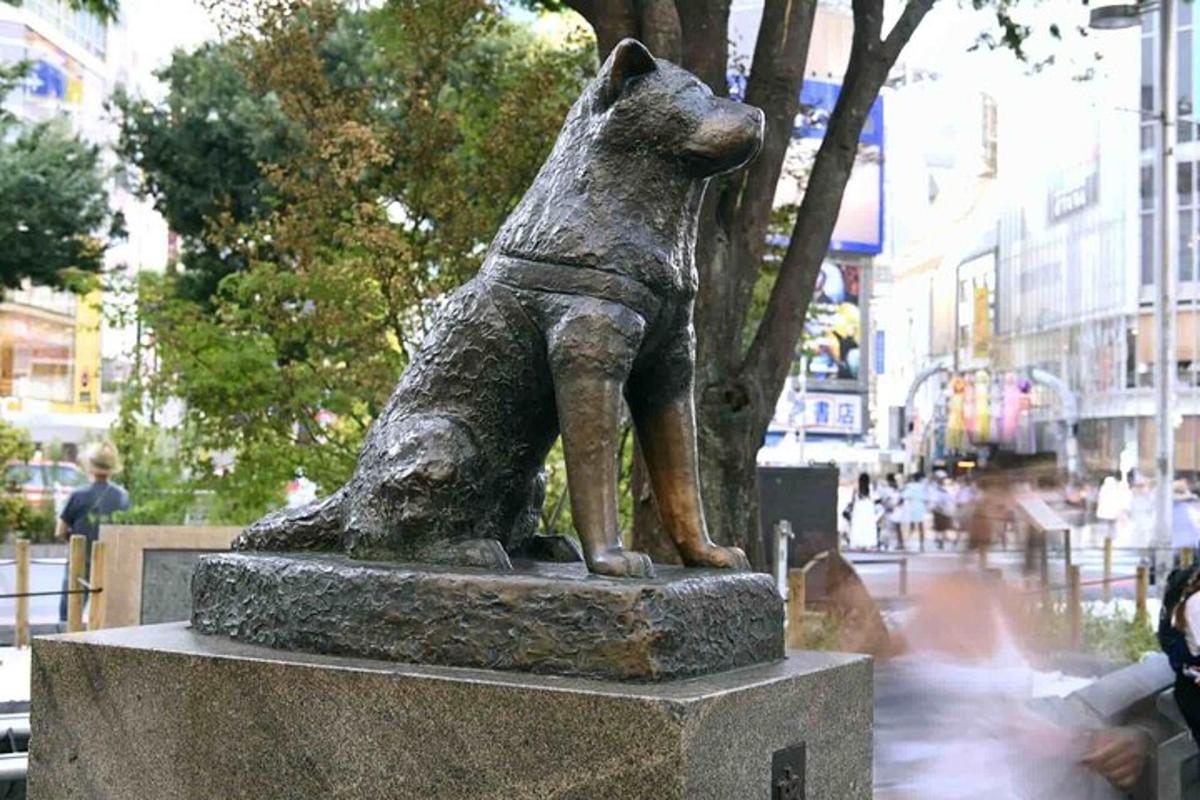 ένα άγαλμα ενός σκύλου που στέκεται σε ένα πεζοδρόμιο